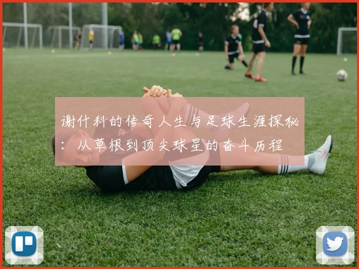 谢什科的传奇人生与足球生涯探秘：从草根到顶尖球星的奋斗历程